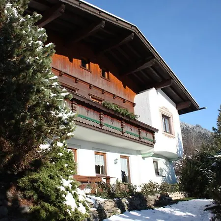 魏格尔公寓 齐勒河谷采尔