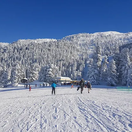 Appartement Weigl Zell am Ziller