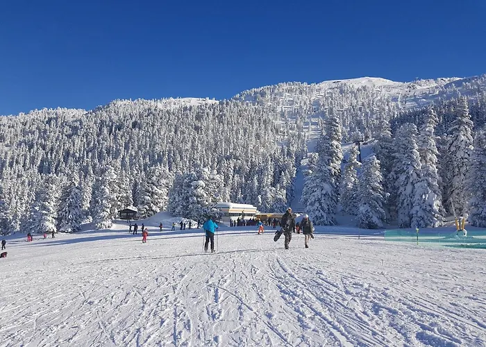 Appartement Weigl Zell am Ziller