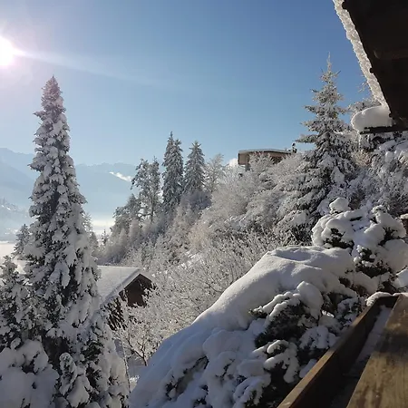 Weigl アパート *