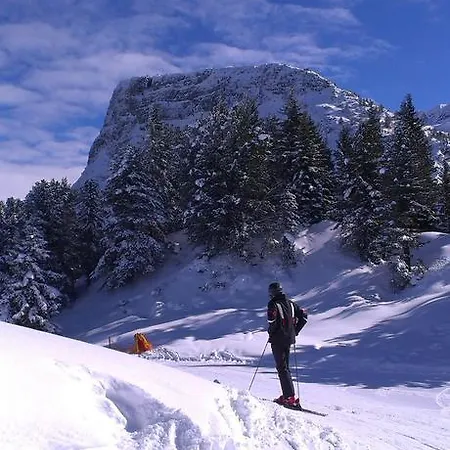アパート Weigl ツェル・アム・ツィラー